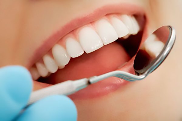 Permanent Teeth Lifespan and Aging