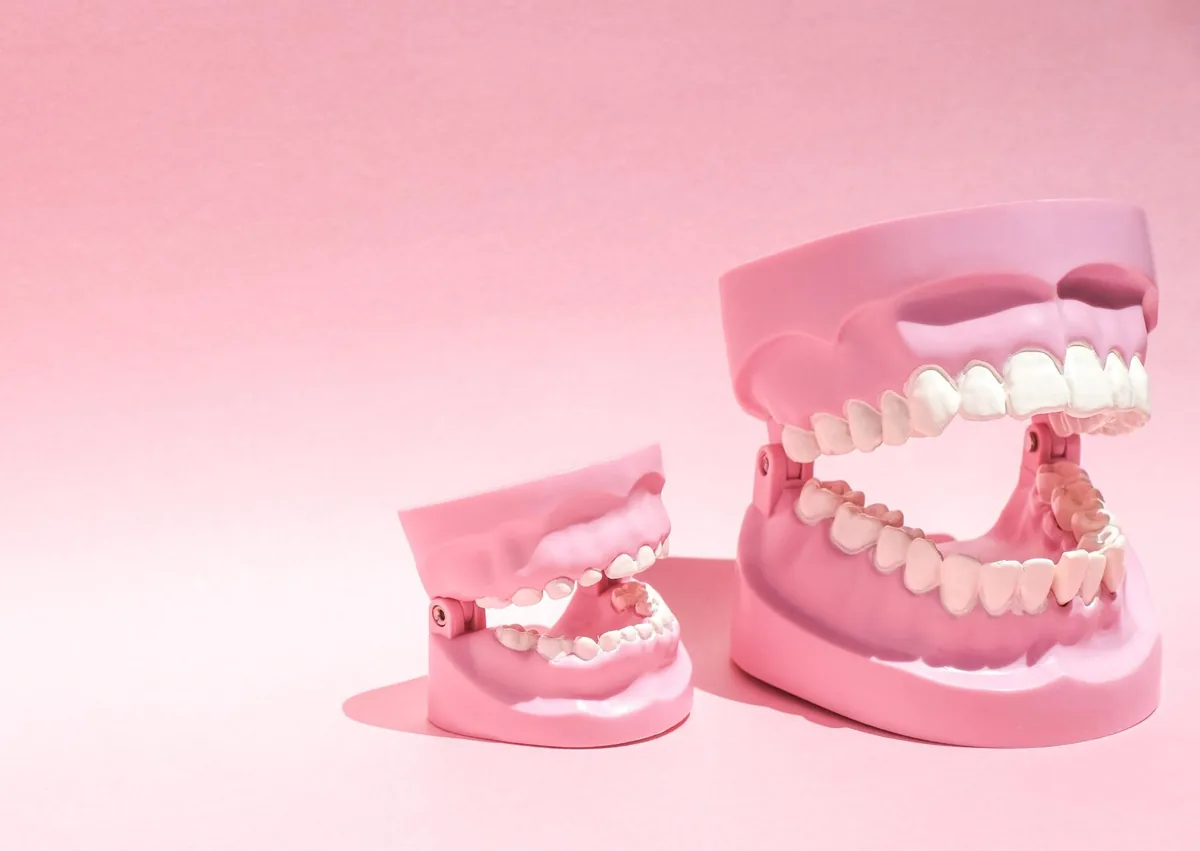 Wisdom Teeth Developing How Many Teeth Do Kids and Adults Have? | North Atlanta Center
