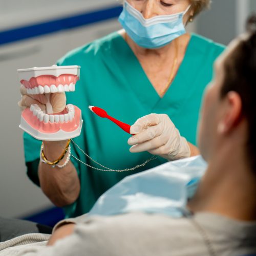 A dentist with a dental model explains dental care to a patient - naccid buford dentist